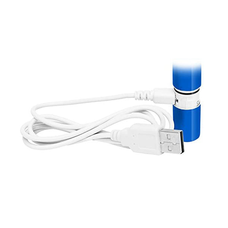 Piksters Power Pikster Toothbrush